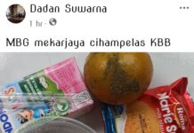 Gara – gara Posting Menu Makan Bergizi Gratis (MBG) di Medsos , Jurnalist Terima Intimidasi