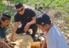 Semangat Iduladha, Ketua Pokja Wartawan Bandung Barat Sembelih dan Bagikan Hewan Qurban