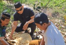 Semangat Iduladha, Ketua Pokja Wartawan Bandung Barat Sembelih dan Bagikan Hewan Qurban