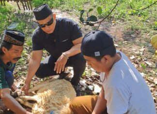 Semangat Iduladha, Ketua Pokja Wartawan Bandung Barat Sembelih dan Bagikan Hewan Qurban